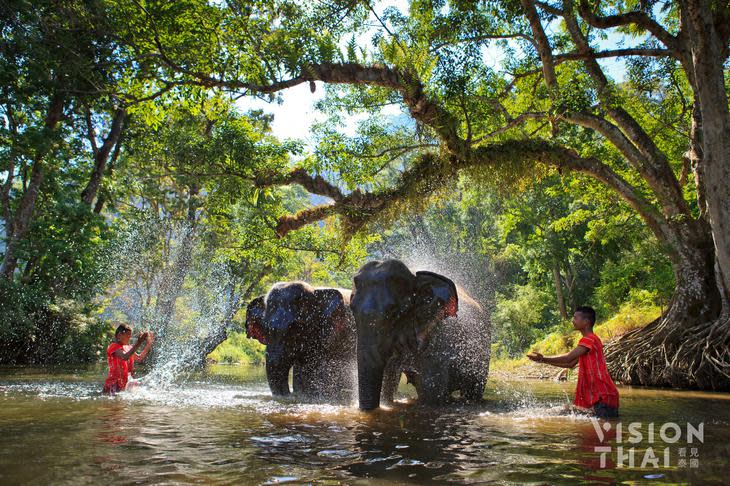 大象是充滿靈性的動物，值得被人類好好對待（示意圖來源：VISION THAI 看見泰國）