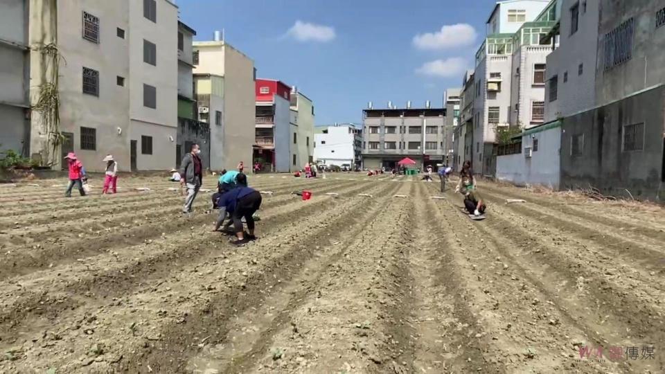 ▲北斗鎮公所開闢「鎮民開心農場」鼓勵鎮民親近田園，藉由農耕活絡筋骨常保健康。（圖／記者陳雅芳攝，2023.10.14）