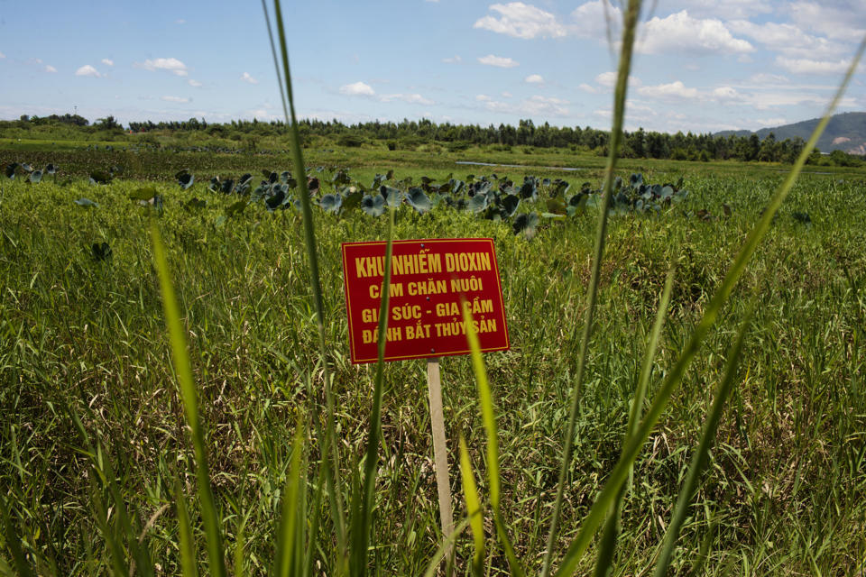 A warning sign stands in a field contaminated with dioxin near Danang airport, during a ceremony marking the start of a project to clean up dioxin left over from the Vietnam War, at a former U.S. military base in Danang, Vietnam Thursday Aug. 9, 2012. The sign reads; "Dioxin contamination zone - livestock, poultry and fishery operations not permitted". The U.S. and Vietnam on Thursday launched a four-year joint effort to clean up dioxin leftover from Agent Orange that was mixed, stored and loaded onto planes at the former U.S. military base, which is now part of Danang’s airport. Dioxin can linger in soils and at the bottom of lakes and rivers for generations, entering the food supply through the fat of fish and other animals. (AP Photo/Maika Elan)