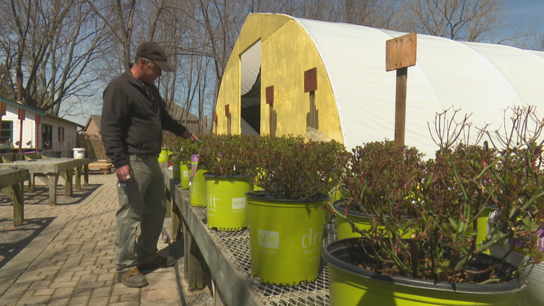 Spring has finally sprung as gardeners get back to business