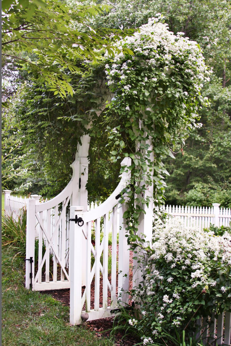 <p>Climbing vines like this sweet autumn clematis add verticality to spaces, and help beautify otherwise dull spots, like the arches of garden gates. (Photo courtesy of <a href="http://bumblebeeblog.com/2009/09/25/fall-transitions-at-bumblebee/" rel="nofollow noopener" target="_blank" data-ylk="slk:Bumblebee blog;elm:context_link;itc:0;sec:content-canvas" class="link ">Bumblebee blog</a>.)</p><p><strong><a href="https://www.countryliving.com/gardening/a19663917/clematis/" rel="nofollow noopener" target="_blank" data-ylk="slk:Read more about growing clematis;elm:context_link;itc:0;sec:content-canvas" class="link ">Read more about growing clematis</a>.</strong></p><p><a class="link " href="https://go.redirectingat.com?id=74968X1596630&url=https%3A%2F%2Fwww.etsy.com%2Fsearch%3Fref%3Dtab_search%26q%3Dclematis&sref=https%3A%2F%2Fwww.countryliving.com%2Fgardening%2Fgarden-tours%2Fg1432%2Flandscaping-ideas%2F" rel="nofollow noopener" target="_blank" data-ylk="slk:SHOP CLEMATIS;elm:context_link;itc:0;sec:content-canvas">SHOP CLEMATIS</a></p>