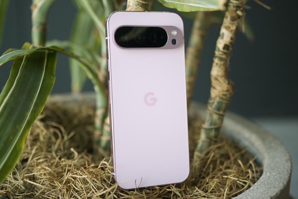 Un Google Pixel 9 Pro XL rosa en posición vertical contra una planta.