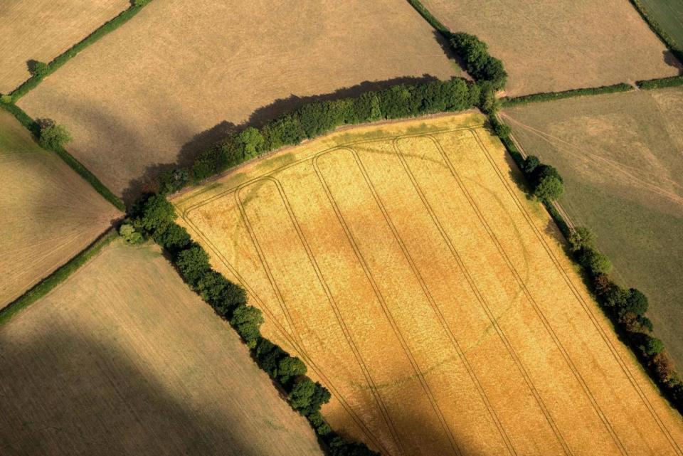 A prehistoric enclosure spotted near Churchstanton in Somerset (PA)