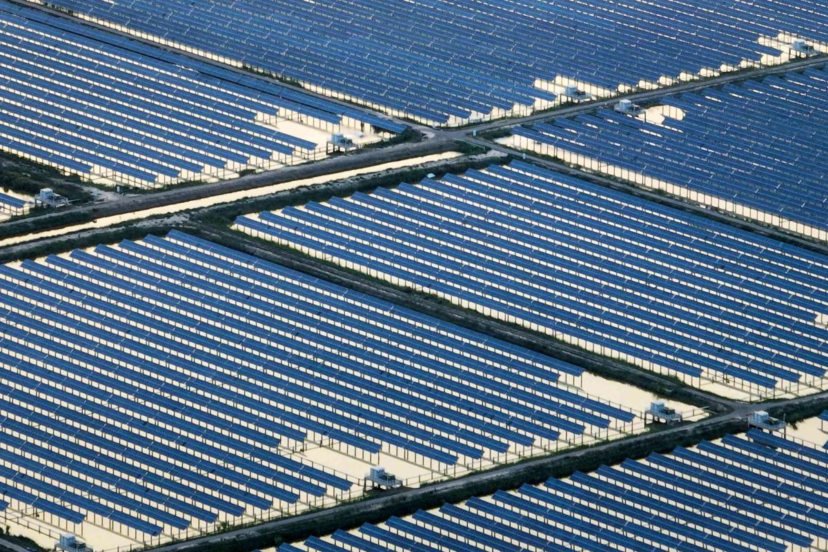 Why Solar Stocks Fell Sharply on Monday