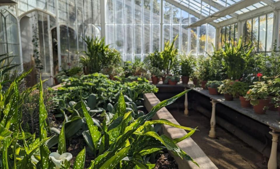 Isle of Wight County Press: One of Osborne's greenhouses