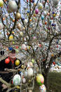 �SAALFELD, GERMANY - MARCH 24: Pensioner Volker Kraft stands in front of his apple tree, which he and his family have decorated with 10.000 Easter eggs on March 24, 2013 in Saalfeld, Germany. The family started decorating an apple tree with painted hen's eggs in their garden in 1965 as amusement for child and grandchildren, now it is an attraction that draws thousands of visitors and tourists to the garden of the family. (Photo by Thomas Lohnes/Getty Images)