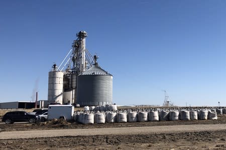 FILE PHOTO: AltEn LLC ethanol plant in Mead Nebraska