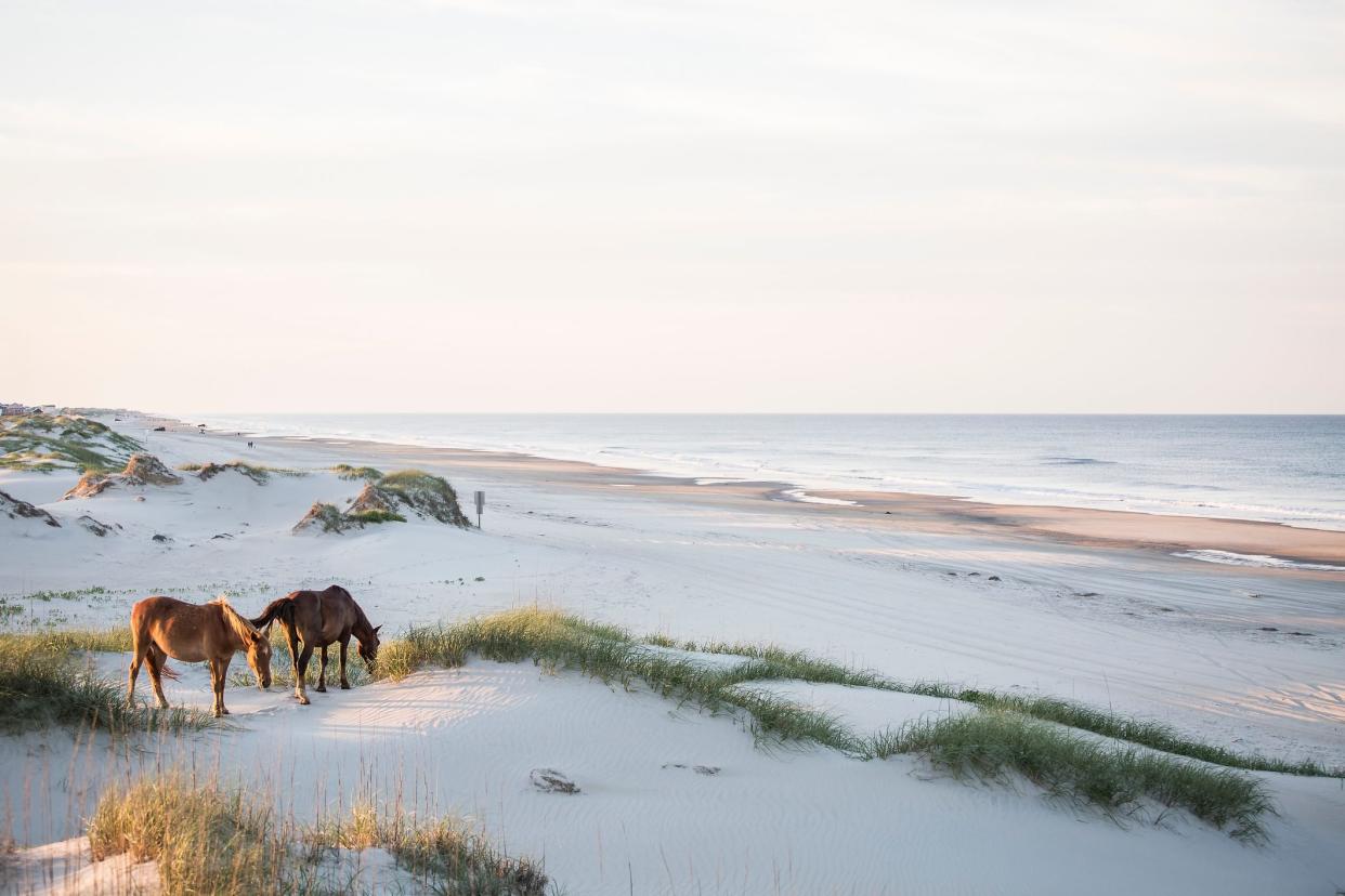 High angle view of horses grazing on field against sky