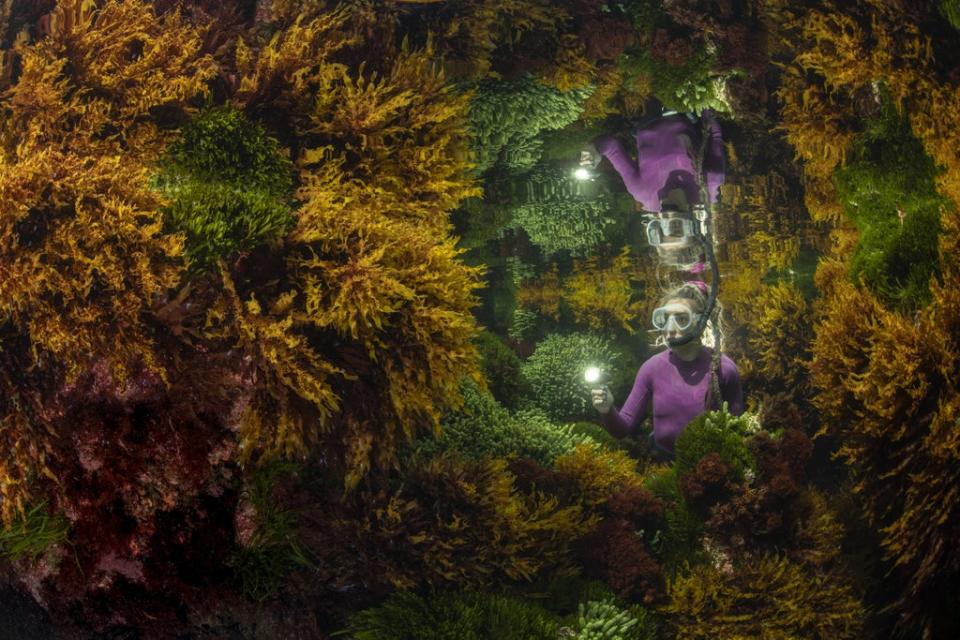 Reflections by Justin Gilligan, which won the Wildlife Photographer of the Year: Plants and Fungi Award (Justin Gilligan/Wildlife Photographer of the Year/PA) (PA Wire)