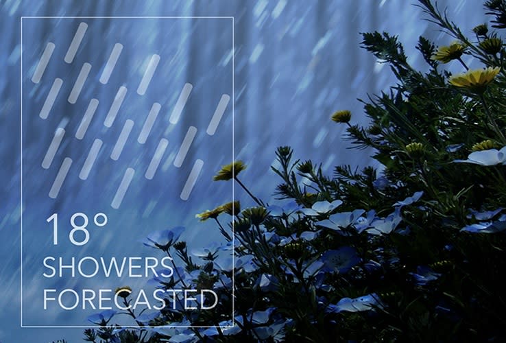 Showers Forecasted (Photo: Singapore Design Week)