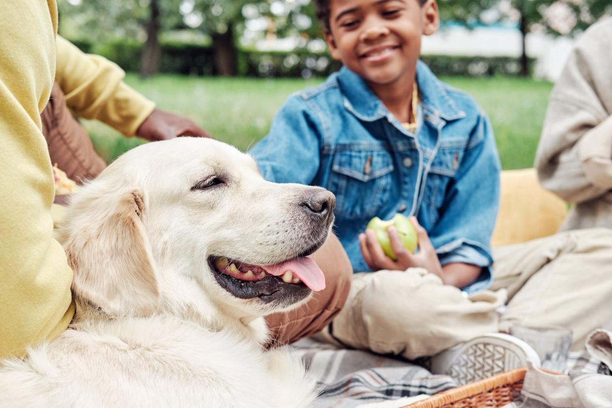 family picnic with their dog