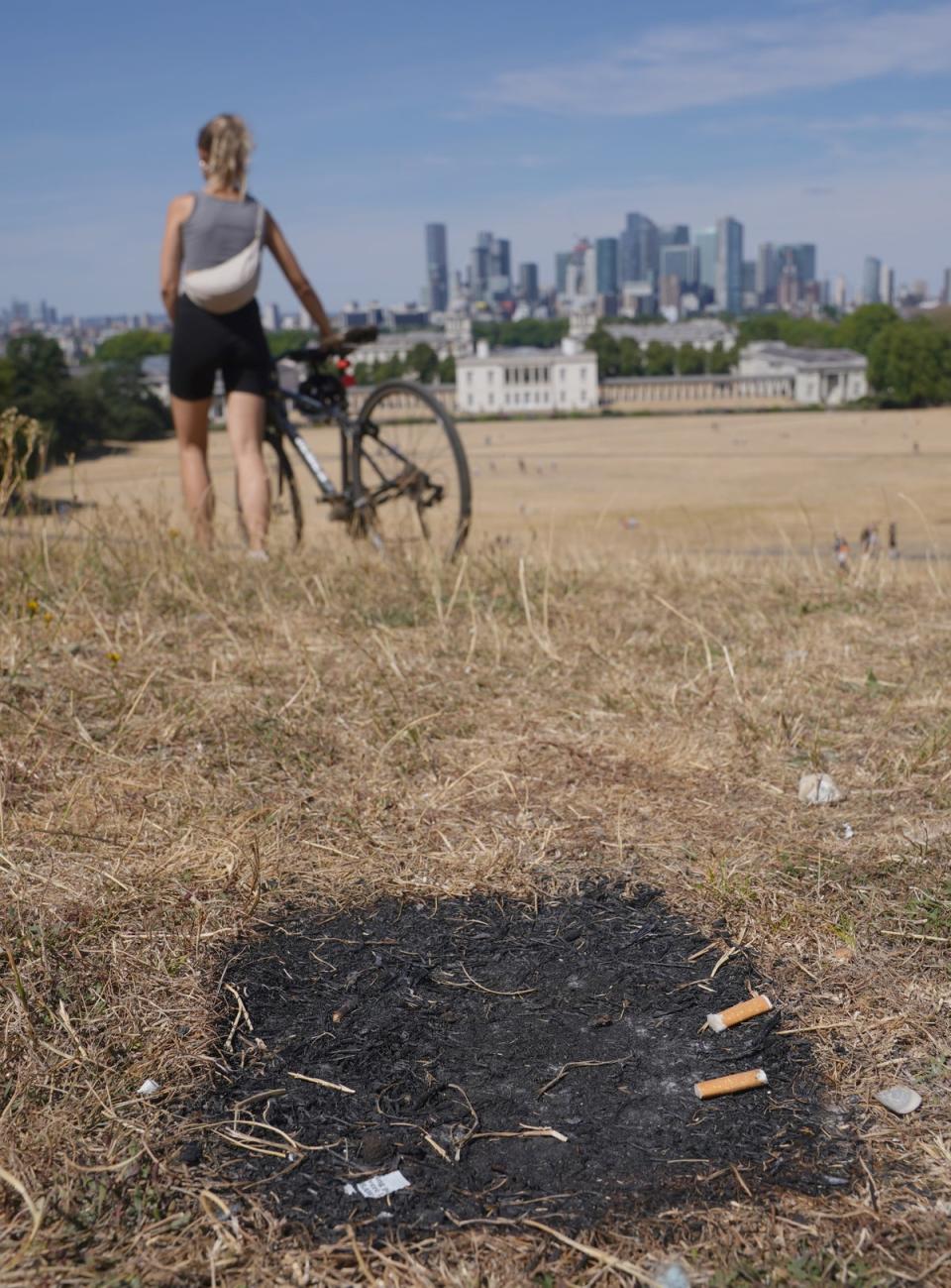 Scorched earth left by a disposable barbecue in Greenwich Park, south London (Yui Mok/PA) (PA Wire)