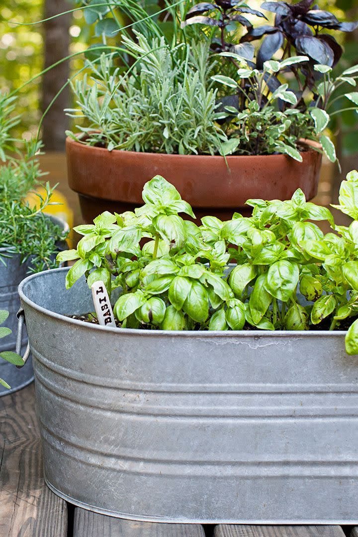 <p>A blend of style and function, galvanized steel buckets can make for brilliant raised garden beds. Add plant labels for an extra dose of charm.</p><p><a class="link " href="https://www.amazon.com/Galvanized-Raised-Vegetables-Planter-8x4x1ft/dp/B07T499RHJ?tag=syn-yahoo-20&ascsubtag=%5Bartid%7C10055.g.36099331%5Bsrc%7Cyahoo-us" rel="nofollow noopener" target="_blank" data-ylk="slk:Shop Now;elm:context_link;itc:0;sec:content-canvas">Shop Now</a></p>