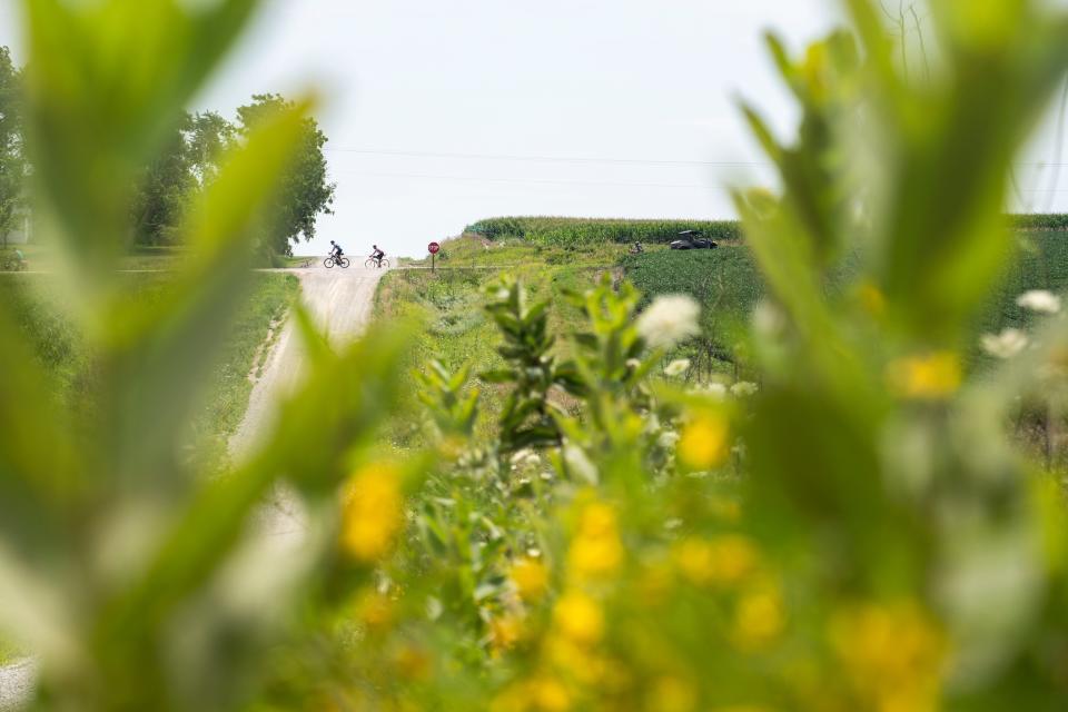 Riders roll along Route 224 during RAGBRAI 50 on Thursday, July 27, 2023, in Kellogg.