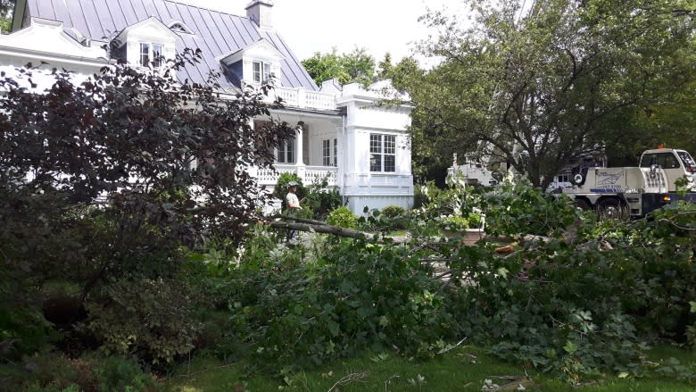 Montreal cleans up after powerful storm leaves destruction in its wake