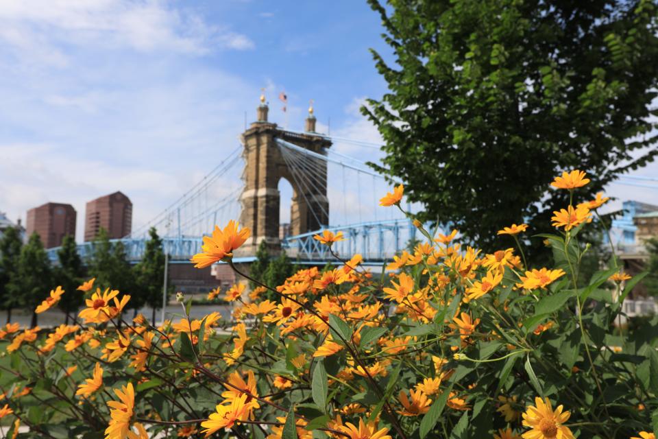 Roebling bridge cincinnati ohio