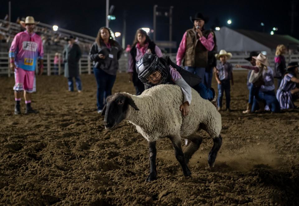 A young participant holds on to a sheep during the mutton busting event inside the Salinas Sports Complex for the California Rodeo Salinas in Salinas, Calif., on Thursday, Sept. 23, 2021. 