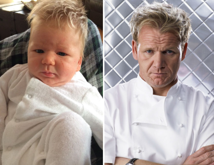 <p>Este pequeño, ¿tendrá el mismo temperamento que el famoso chef británico? Foto: Twitter.com/Claire8ball </p>