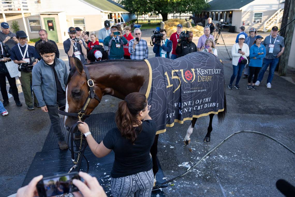 Mystik Dan has bounced back well from his Kentucky Derby victory on Saturday but trainer Kenny McPeek said Wednesday he’s not yet ready to make a decision about next week’s Preakness Stakes. Silas Walker/swalker@herald-leader.com