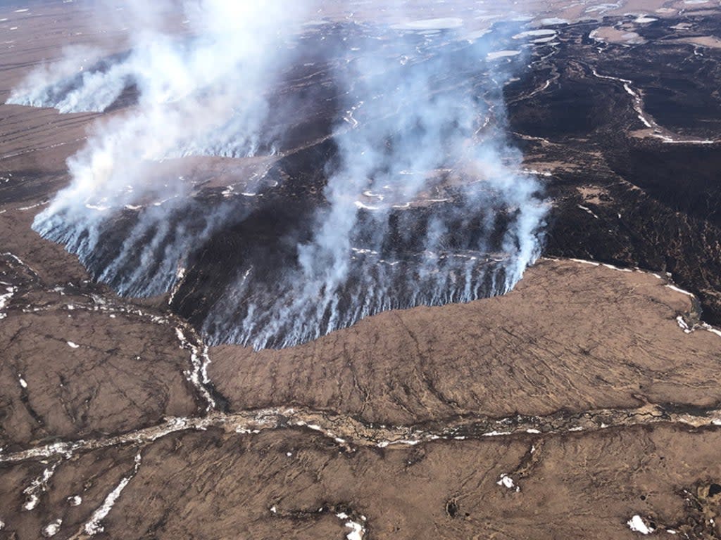 The fire.  (Alaska DNR- Division of Forestry)