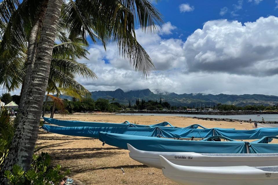 Boats on the beach from the Tour of North Shore and Sightseeing