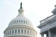 FILE PHOTO: The U.S. Capitol Building in Washington