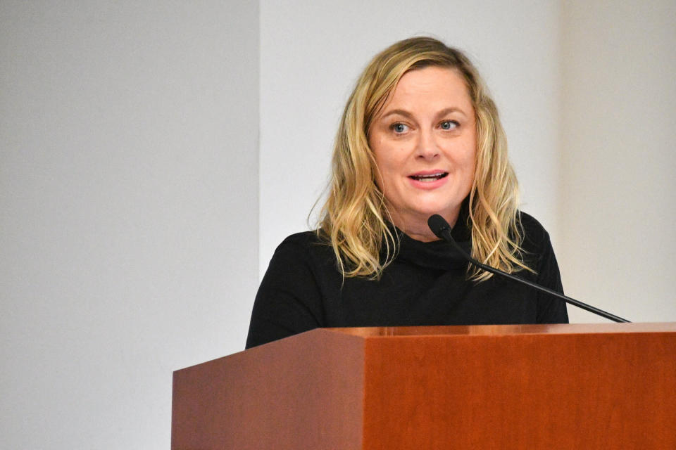 NEW YORK, NY - FEBRUARY 20:  Amy Poehler speaks during the One Fair Wage Event at the Rockefeller Foundation on February 20, 2018 in New York City.  (Photo by Dia Dipasupil/Getty Images)