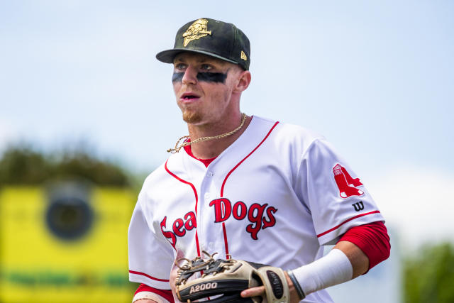 Red Sox release minor league player Brett Netzer after barrage of