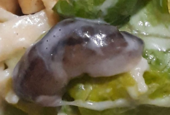 Pictured is a slug another woman found in her Coles Caesar Salad bowl earlier this week. Source: Facebook