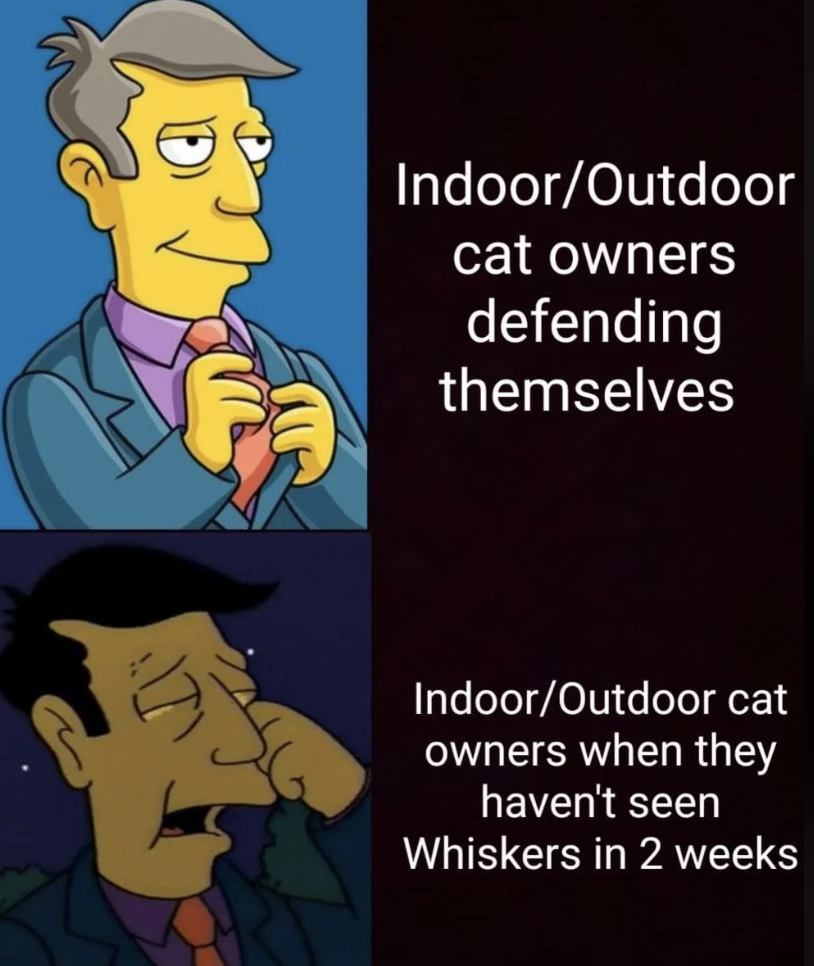 Superintendent Chalmers and Principal Skinner images. First image caption: Indoor/Outdoor cat owners defending themselves. Second image caption: Indoor/Outdoor cat owners when they haven't seen Whiskers in 2 weeks