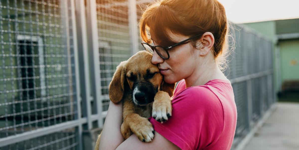 Adopting Your First Pet? Follow These Expert Tips to Be Prepared