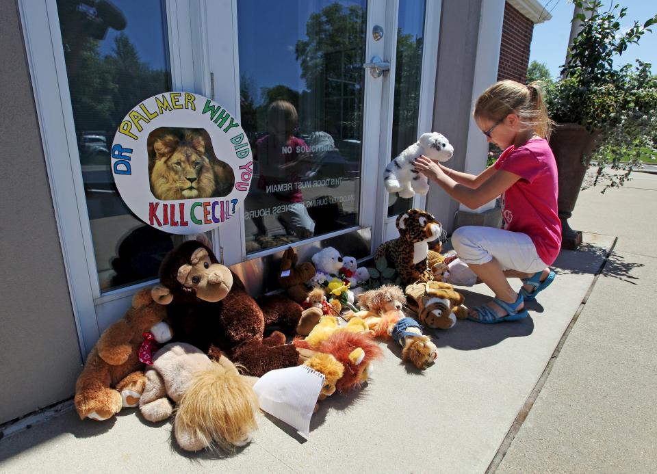 Resident Autumn Fuller, 10, places a stuffed animal at the doorway of River Bluff Dental clinic in protest against the killing of a famous lion in Zimbabwe, in Bloomington, Minnesota