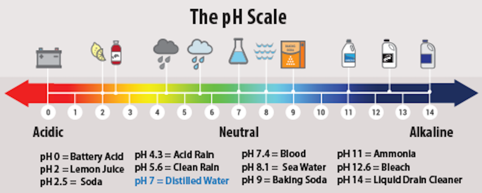 The pH scale shows how acidic or basic substances are. <a href="https://www.epa.gov/acidrain/what-acid-rain" rel="nofollow noopener" target="_blank" data-ylk="slk:USEPA;elm:context_link;itc:0;sec:content-canvas" class="link ">USEPA</a>