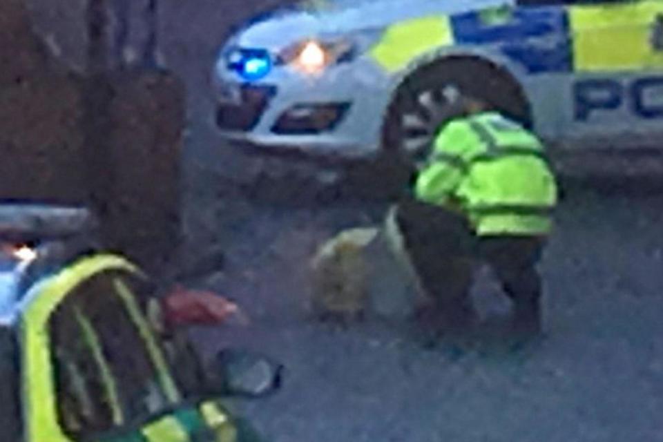 The police officer investigating the red bag at the scene