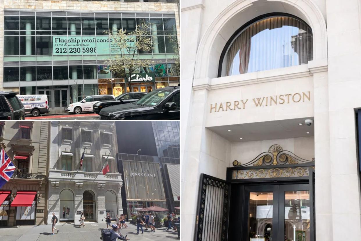 Harry Winston on Fifth Avenue and vacant properties