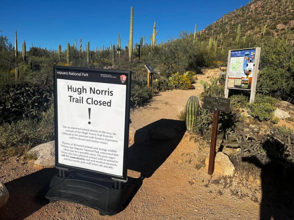 Wildlife officials closed off the Hugh Norris Trail after three people were attacked by a rabid fox.