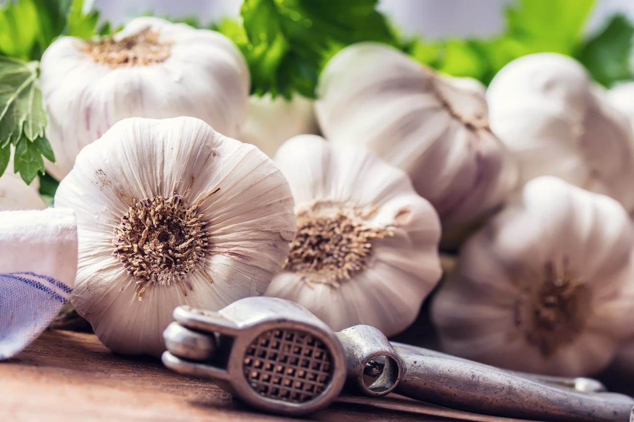 bunch of fresh garlic with celery herbs