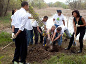 Gemeinsam mit Schülern pflanzten Barack und Michelle Obama im April 2009 im "Kenilworth Aquatic Garden" in Washington einen Baum. So weit, so gut. Das Bild, das dabei entstand, ist jedoch so unterschwellig komisch, dass es bis heute User gibt, die es mit Photoshop noch lustiger machen. Hier kommen die aktuellsten Favoriten des Bildbearbeitungswettkampfes. (Bild-Copyright: REX/Shutterstock)