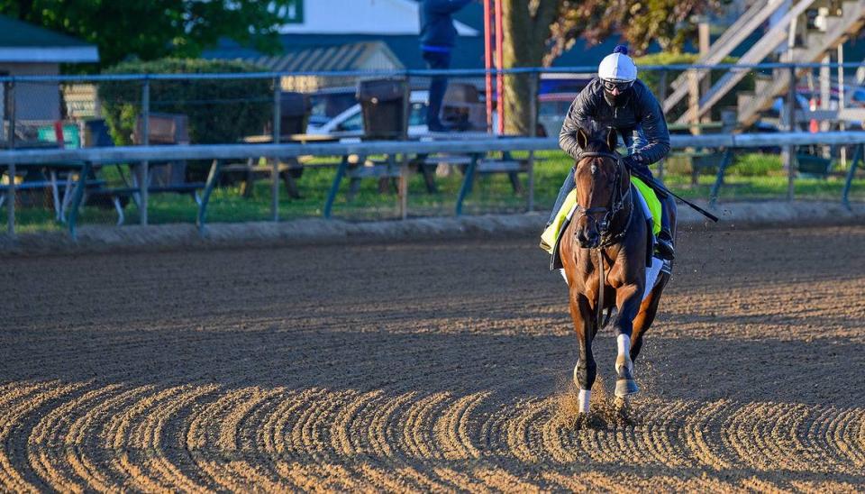 Sierra Leone goes for a morning training run at Churchill Downs on April 23. “He’s an impeccably made and bred horse,” trainer Chad Brown said. “I’ve had well-bred horses that don’t quite pan out to their expectations, but this horse has.”