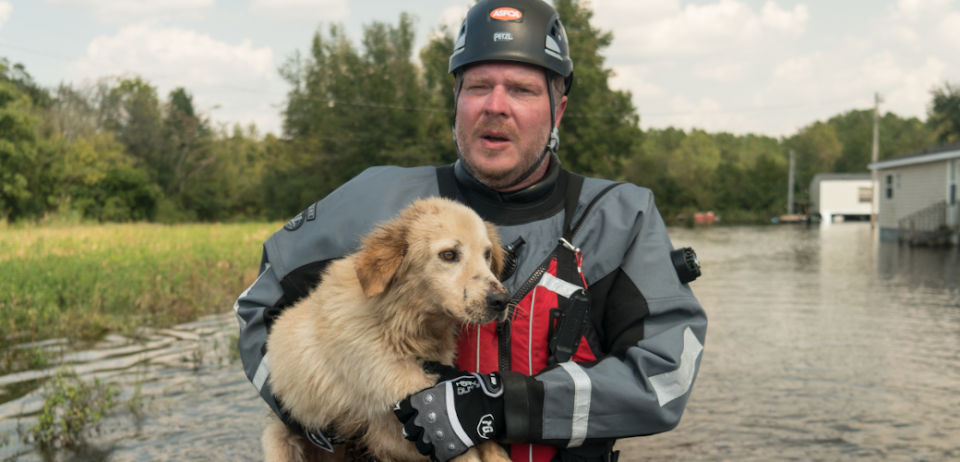 Pet care during flooding or hurricanes should be planned for in advance.