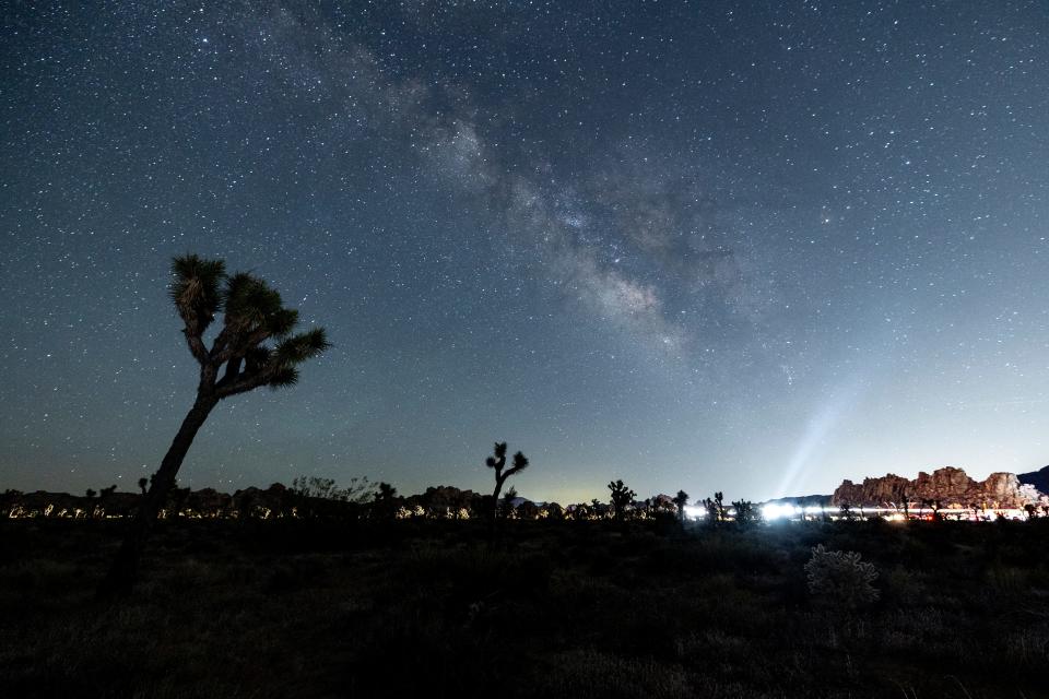 The Milky Way shines over a Joshua Tree. Thousands of people came tonight in to see the northern lights illuminate the night sky over the Joshua Tree National Park, California. Unfortunately, there was no aurora Borealis to be seen this Saturday.