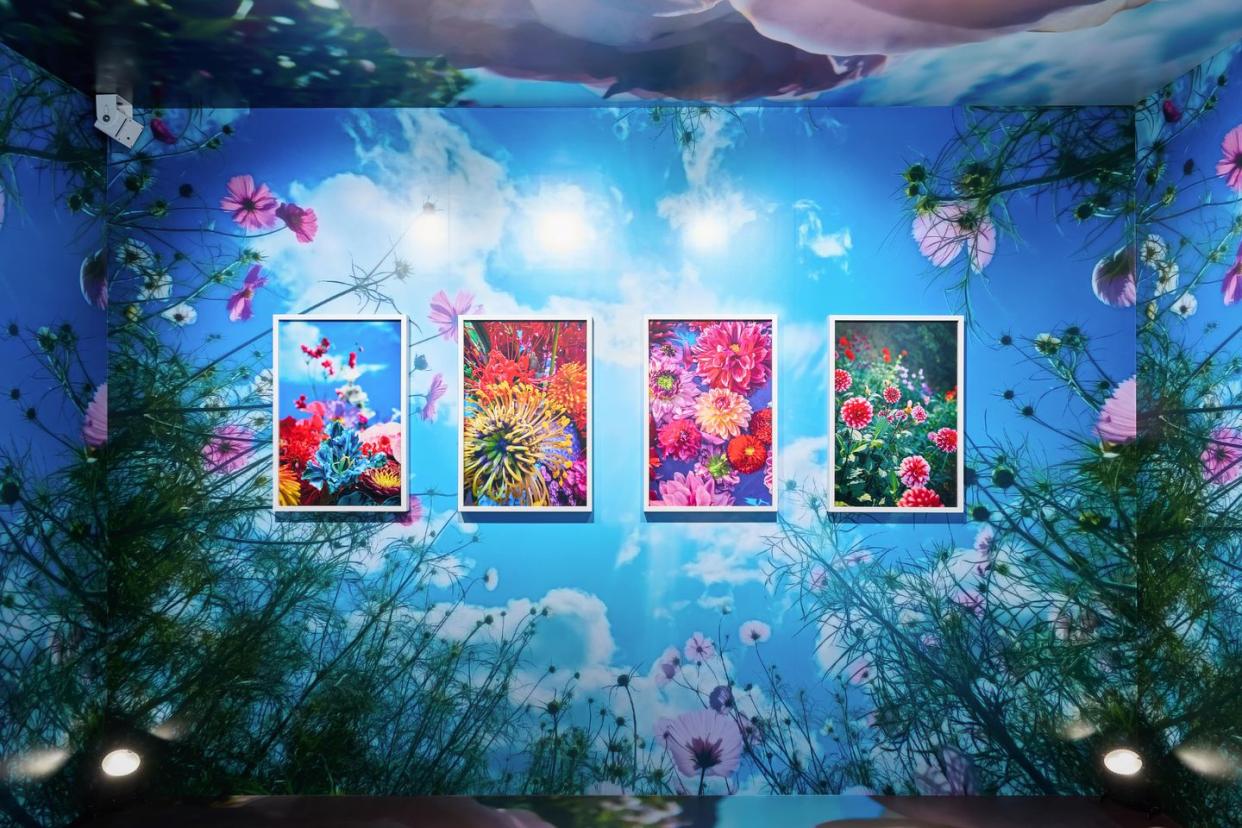 a wall with flowers and pictures on it