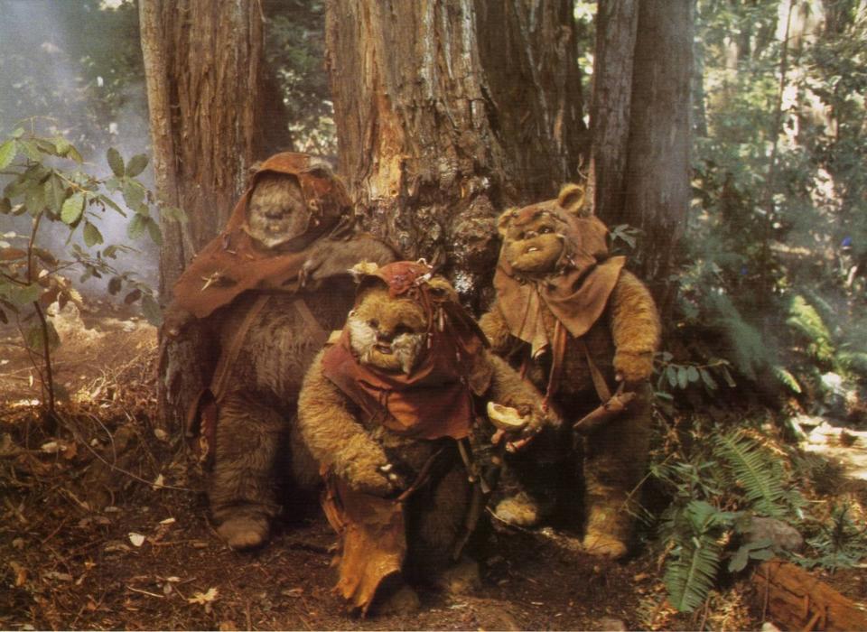 Die Erfindung der teddybärähnlichen Ewoks, mit denen sich die "Star Wars"-Helden in "Episode VI - Die Rückkehr der Jedi-Ritter" anfreunden, beweist einmal mehr: Not macht erfinderisch! Ursprünglich sollten die Protagonisten nämlich Wookies sein, doch der Plan scheiterte daran, dass nicht genug Darsteller mit derart hünenhafter Statur aufzutreiben waren. (Bild: Twentieth Century Fox)