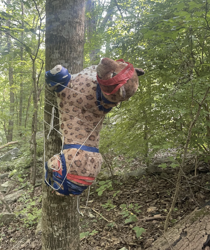 Stuffed leopard doll tied to a tree with a string in a dense forest. The doll has blue and red tape around its limbs and head