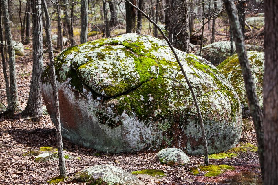 Scenes from a hike at Elephant Rocks State Park April 21, 2022.