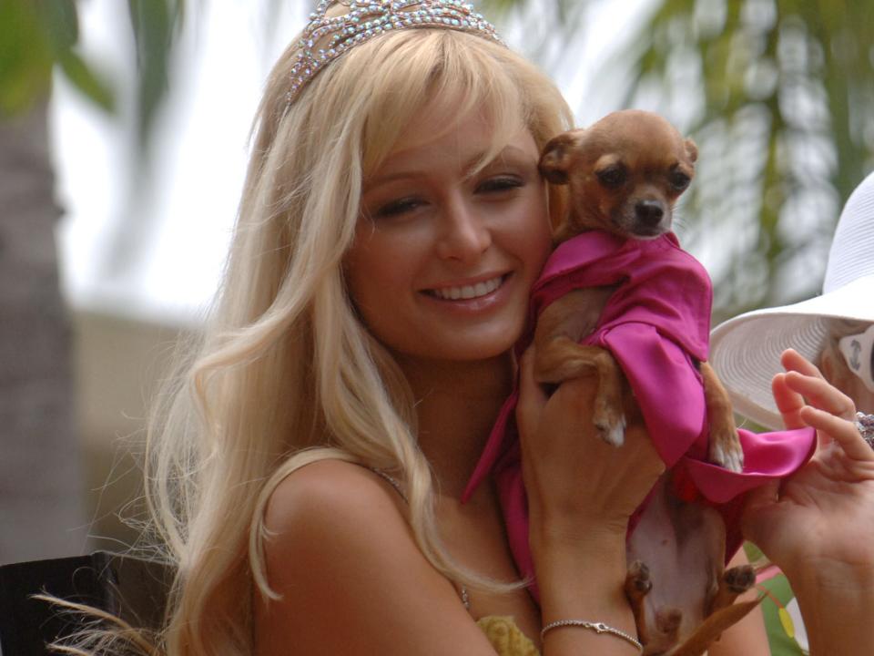 Paris Hilton dog