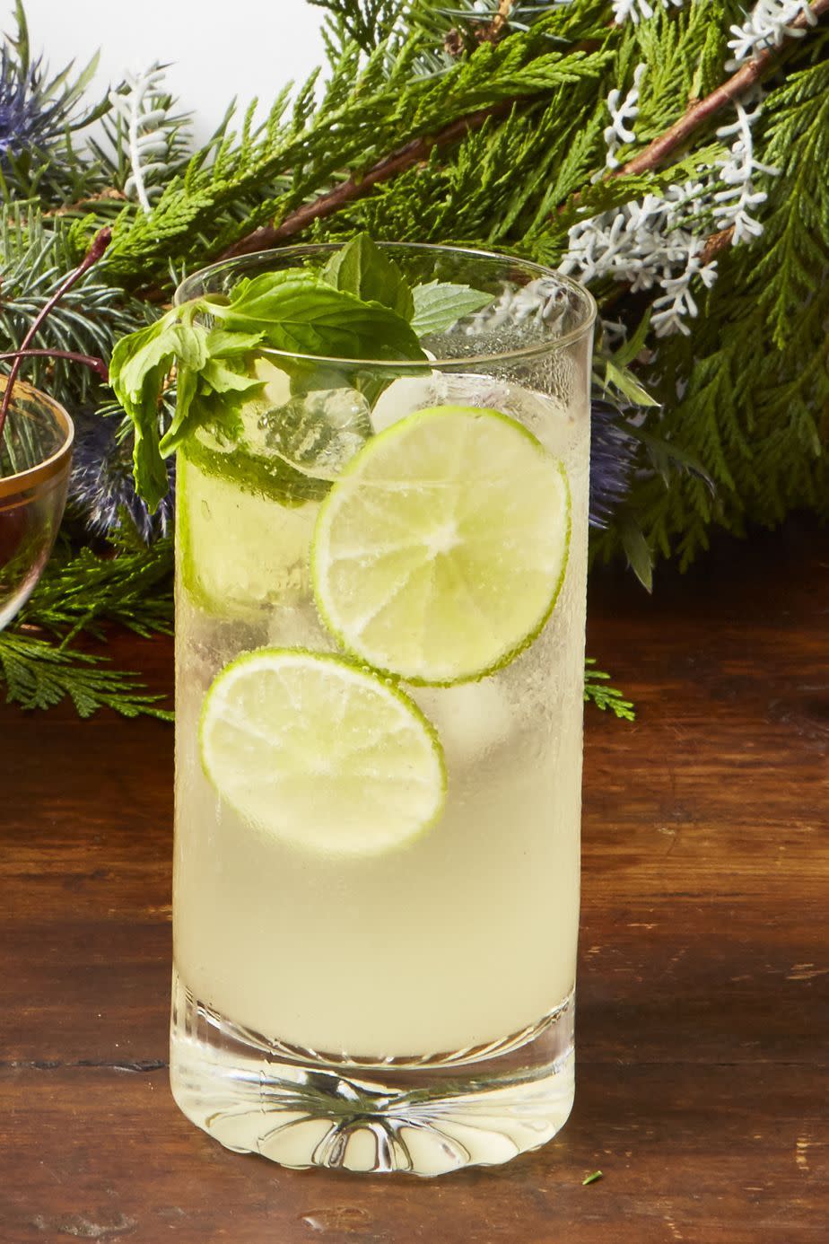 <p>A splash of sparkling wine adds a fun and surprising bubbly twist to your holiday mojito.</p><p><a href="https://www.goodhousekeeping.com/food-recipes/party-ideas/a25310946/sparkling-wine-mojito-punch-recipe/" rel="nofollow noopener" target="_blank" data-ylk="slk:Get the recipe for Sparkling Wine Mojito Punch »;elm:context_link;itc:0;sec:content-canvas" class="link ">Get the recipe for Sparkling Wine Mojito Punch »</a></p>