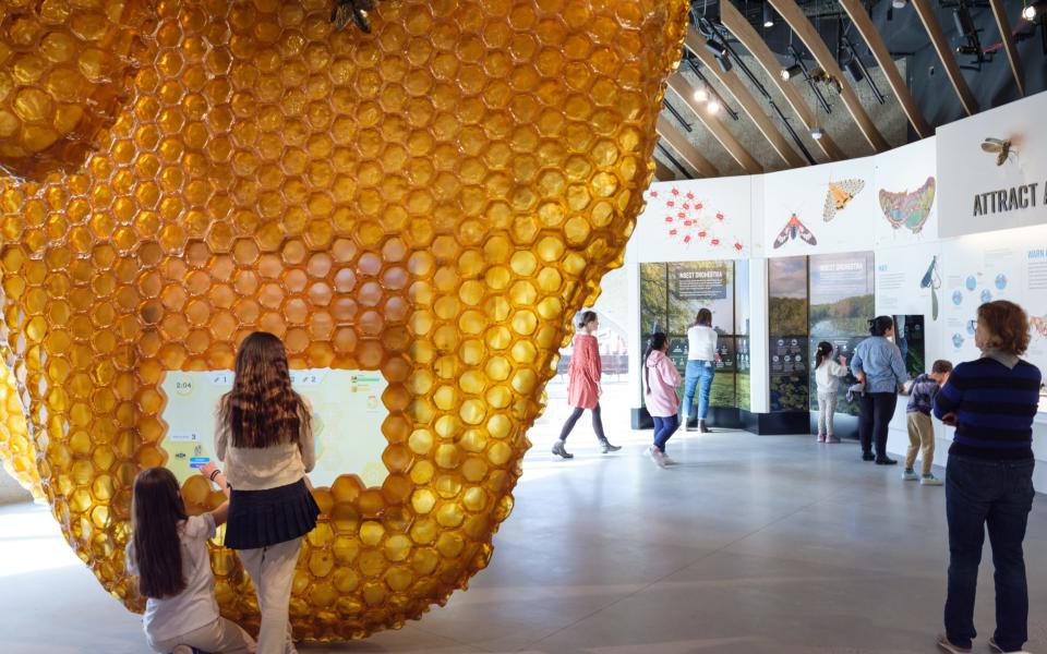 The Be a Bee interactive exhibit, American Museum of Natural History - Alvaro Keding