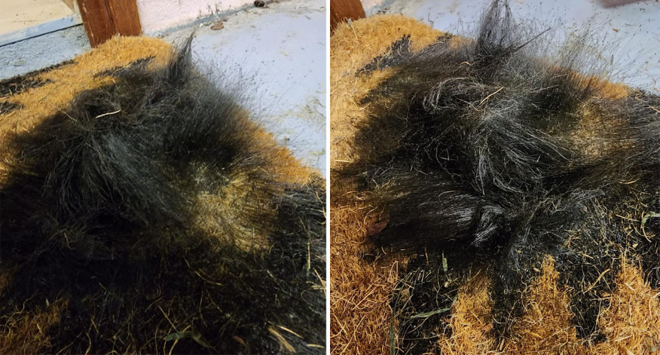 Black hairy mould on doormat. 