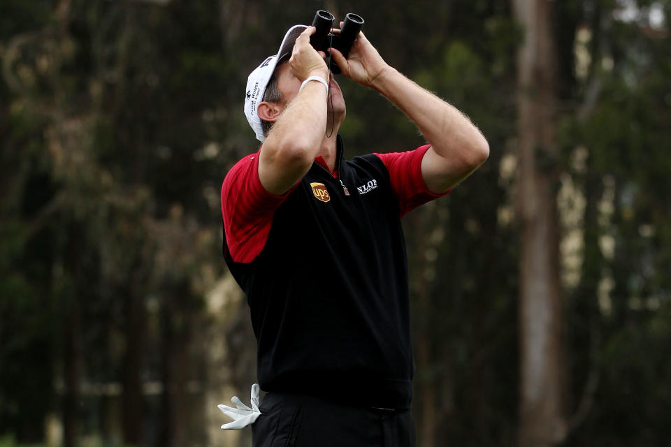 SAN FRANCISCO, CA - JUNE 17: Lee Westwood of England attempts to locate his golf ball in a tree on the fifth hole during the final round of the 112th U.S. Open at The Olympic Club on June 17, 2012 in San Francisco, California. (Photo by Jeff Gross/Getty Images)